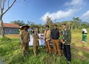 Mahasiswa KKN Hijaukan Sukajadi dengan 100 Pohon
