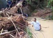 Banjir Terjang Sindangbarang, Dua Rumah Rusak dan Kerugian Material Akibat Sumbatan Pohon di Sungai Kertamukti