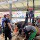 Sapi 500 Kilogram Dievakuasi Petugas Damkar Cianjur