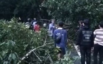 Longsor Tutup Jalan Provinsi Cibinong–Sindangbarang, Arus Lalu Lintas Lumpuh Total
