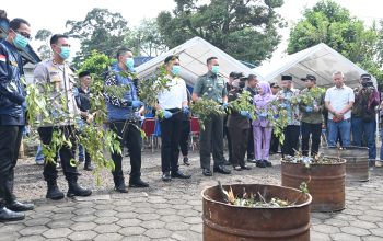 BNNK Cianjur Musnahkan 75 Pohon Khat di Kawasan TNGGP: Bupati Tegaskan Cianjur Tidak Toleransi Narkoba