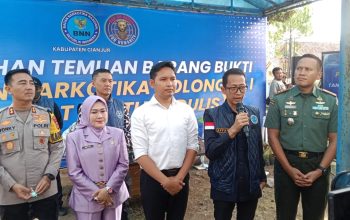 BNN Cianjur Musnahkan Tanaman Narkotika Jenis Khat, Bupati Tegaskan Cianjur Bebas Narkoba