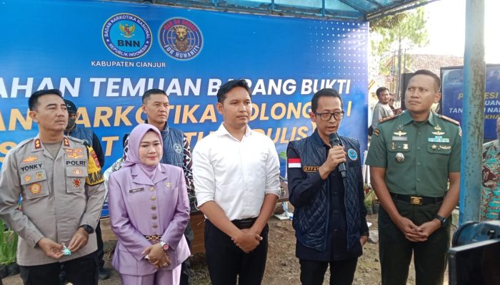 BNN Cianjur Musnahkan Tanaman Narkotika Jenis Khat, Bupati Tegaskan Cianjur Bebas Narkoba