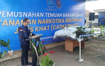 BNNK Cianjur Musnahkan 75 Pohon Khat di Kawasan TNGGP, Ungkap Modus Peredaran untuk Wisatawan Timur Tengah