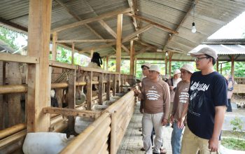 Badan Bank Tanah Dorong Pemberdayaan Ekonomi Masyarakat Reforma Agraria di Cianjur Lewat Program Peternakan Berkelanjutan