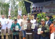 Bupati dan Gerindra Tanam 1.300 Pohon di Sukanagara, Dorong Penghijauan dan Ketahanan Pangan