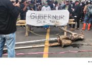 Aksi Gabungan Tuntut Pemekaran, Aliansi Luwu Raya Gelar Demo Serentak