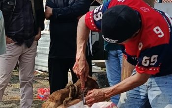 Perumdam Tirta Mukti Cianjur Tebar Kepedulian, Sembelih Hewan Kurban dan Bagikan Daging kepada Warga