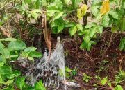 Kebocoran Air PDAM di Sindangbarang Dikeluhkan Warga, Direktur LKBH-BAN Soroti Dugaan Kelalaian